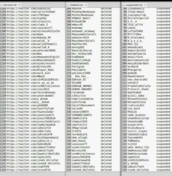 Хакеры, объявившие виртуальную войну ИГИЛ, взломали 5,5 тыс. аккаунтов террористов | Русская весна
