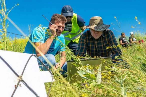 На Украине запустили ракету длиной 170 см на высоту 3 км (ФОТО) | Русская весна