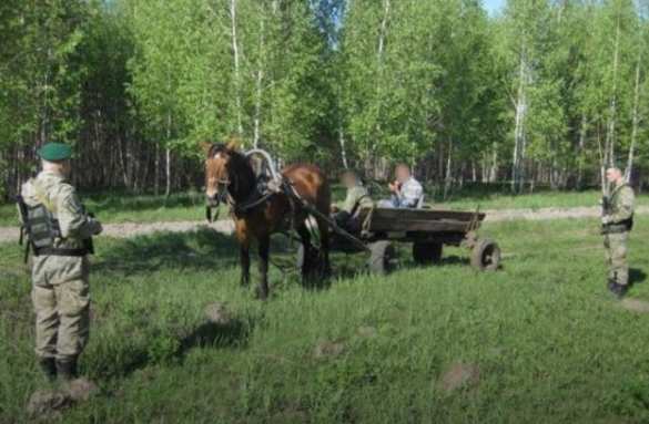 Началось? Через границу Украины прорвались двое россиян на тачанке (ФОТО) | Русская весна