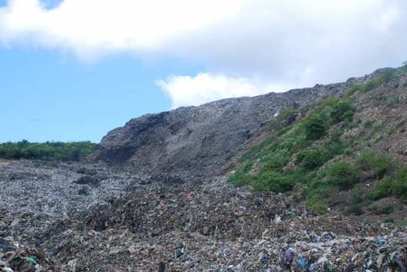 Львовский коммунальщик оказался погребен под мусором — поиски остановлены (ФОТО) | Русская весна