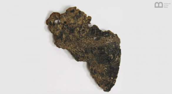 В вашингтонском Музее Библии нашли целую коллекцию поддельных «артефактов» (ФОТО) | Русская весна