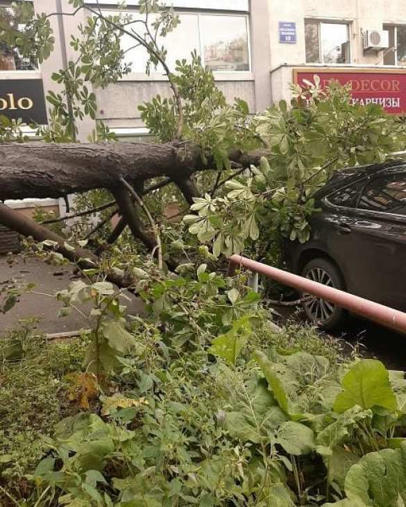 Тайфун уносит жизни в Приморье | Русская весна
