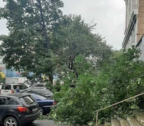 Тайфун уносит жизни в Приморье | Русская весна