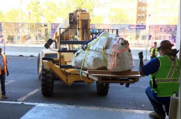 В США найден череп тиранозавра (ФОТО, ВИДЕО) | Русская весна