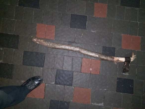 Украинец с топором напал на памятник Папе Римскому (ФОТО, ВИДЕО) | Русская весна