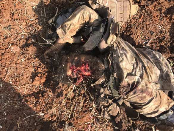 «Обугленные трупы зомби»: мощное наступление боевиков в Сирии обернулось кровавым провалом (ВИДЕО, ФОТО 21+) | Русская весна