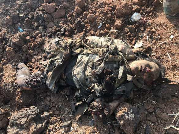 «Обугленные трупы зомби»: мощное наступление боевиков в Сирии обернулось кровавым провалом (ВИДЕО, ФОТО 21+) | Русская весна