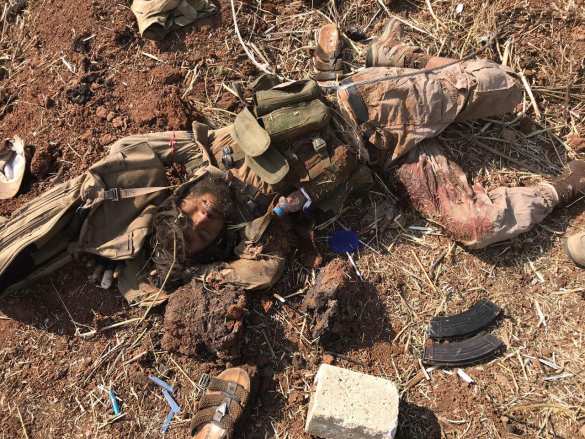 «Обугленные трупы зомби»: мощное наступление боевиков в Сирии обернулось кровавым провалом (ВИДЕО, ФОТО 21+) | Русская весна