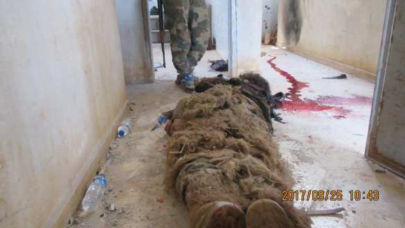 Жестокие кадры: Спецназ «Аль-Каиды» уничтожен в Алеппо (ВИДЕО, ФОТО 18+) | Русская весна