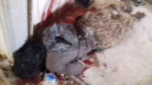 Жестокие кадры: Спецназ «Аль-Каиды» уничтожен в Алеппо (ВИДЕО, ФОТО 18+) | Русская весна