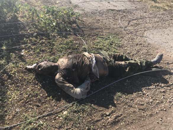 Бойня на юге Сирии: пустыня завалена трупами и сожжённой техникой ИГИЛ (ВИДЕО, ФОТО 18+) | Русская весна