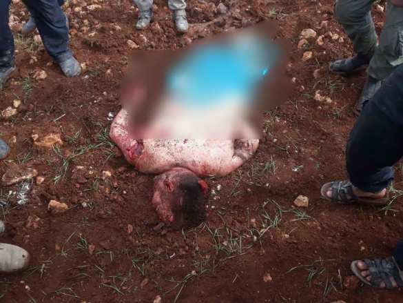 МОЛНИЯ: В Сирии сбит военный вертолёт (ВИДЕО, ФОТО 18+) | Русская весна