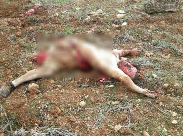 МОЛНИЯ: В Сирии сбит военный вертолёт (ВИДЕО, ФОТО 18+) | Русская весна