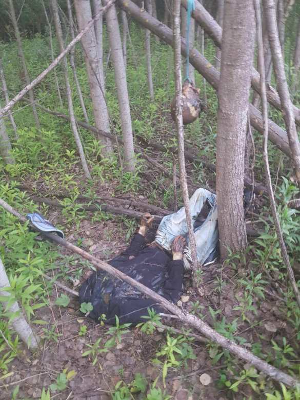 Жуткие кадры: Под Москвой найден труп с отрезанной головой (ФОТО, ВИДЕО 21+) | Русская весна