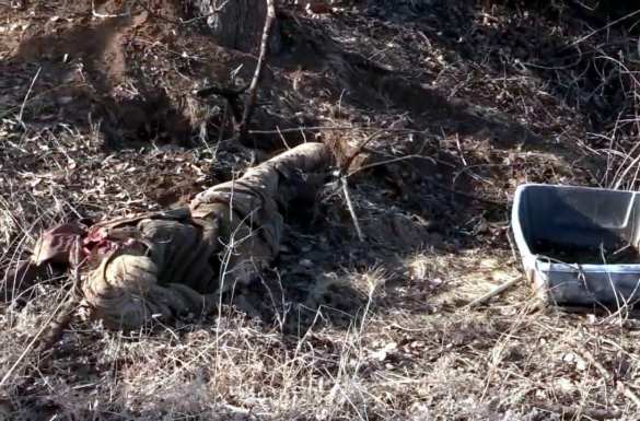 Кровавый провал ВСУ: Армия ЛНР показала трофеи и эвакуацию трупа гранатомётчика (ФОТО, ВИДЕО 18+) | Русская весна