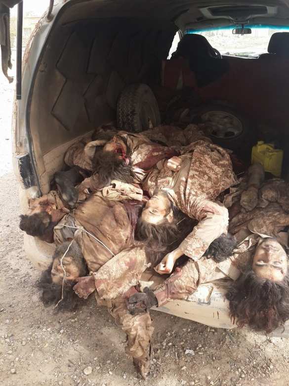 Кровавый провал: мощное наступление ИГИЛ на Дейр эз-Зор окончилось бегством, трупы боевиков вывозят в кузовах машин (ФОТО 18+) | Русская весна