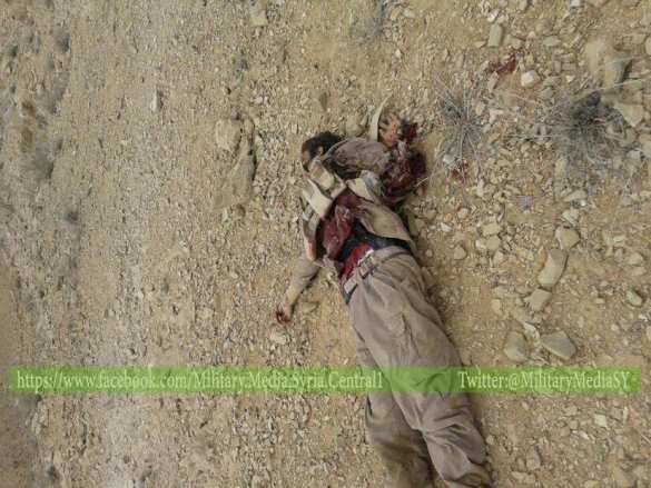 ВАЖНО: взяв высоты и уничтожив боевиков, Армия Сирии перерезала маршрут поставок ИГИЛ от Карьятейна к Пальмире (ФОТО 18+) | Русская весна