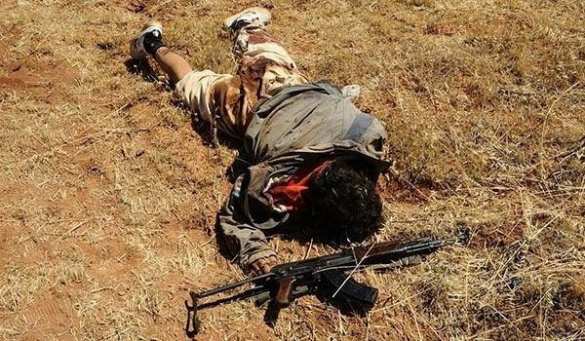 Бойня в Алеппо: ВКС России и Армия Сирии убили и ранили 660 боевиков за сутки — подробности операции (ВИДЕО, ФОТО 18+) | Русская весна