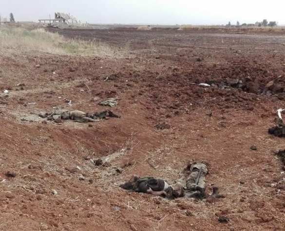 Кровавый провал: банды захватили город, САА и ВКС отбили его, уничтожив множество боевиков (ВИДЕО, ФОТО 18+) | Русская весна