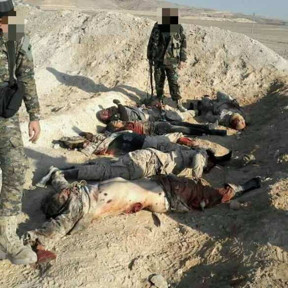 «Тигры» разрывают ИГИЛ: «дорога жизни» усеяна трупами и расстрелянными машинами боевиков (ФОТО, ВИДЕО 18+) | Русская весна