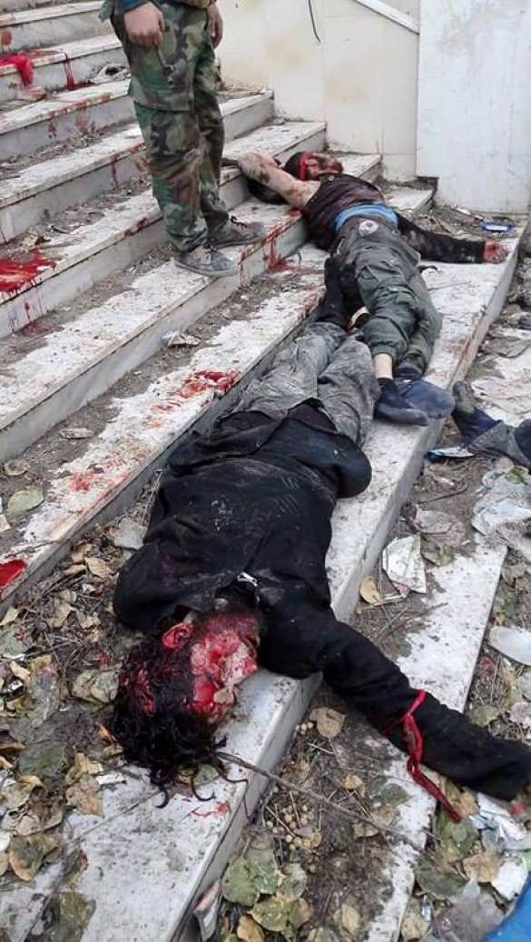 Кровавый провал: Армия Сирии отразила наступление и уничтожила террористов под Дамаском (ФОТО 18+) | Русская весна