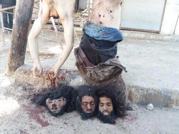 Резня в Дараа: ИГИЛ и боевики «оппозиции» отрезали головы друг другу (ВИДЕО, ФОТО 21+) | Русская весна