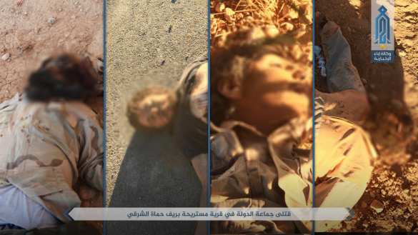 Кровавая резня смертников: Сотни боевиков ИГИЛ и «Аль-Каиды» уничтожают друг друга в центре Сирии (ВИДЕО, ФОТО 18+) | Русская весна