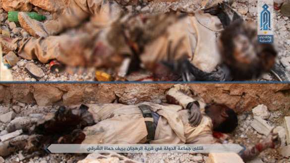 Бои и разорванные тела боевиков: «Спецназ Аль-Каиды» беспощадно уничтожает ИГИЛ в Центральной Сирии (+ВИДЕО, ФОТО 18+) | Русская весна