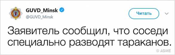 «Съели овощи с моего огорода»: милиция Минска ворвалась в Интернет и это стоит увидеть (ФОТО) | Русская весна