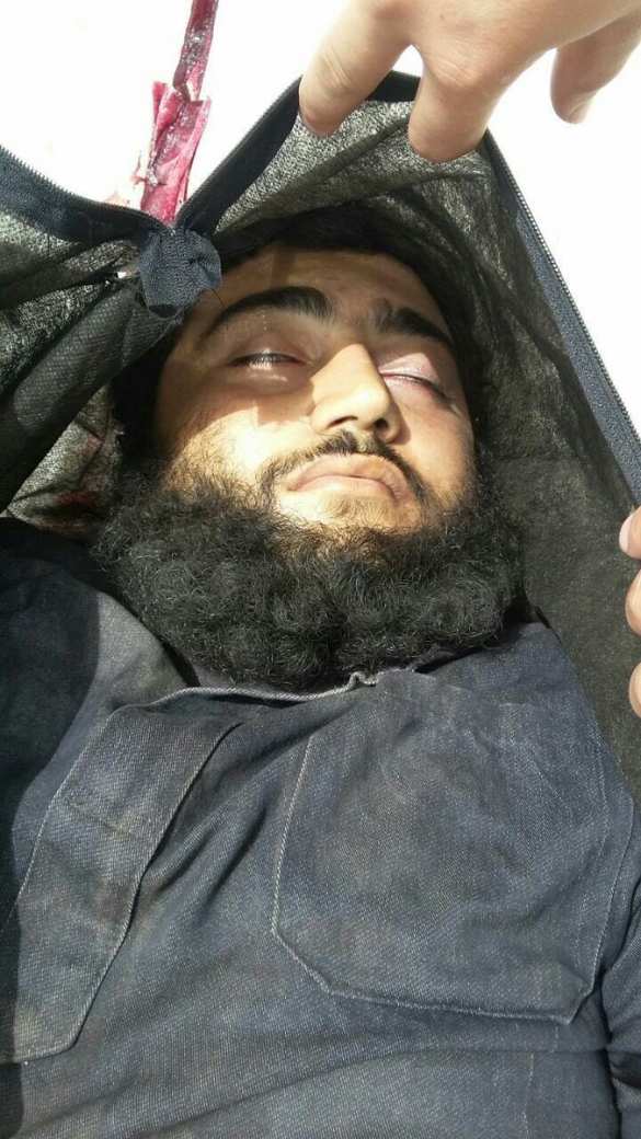 Кровавая жатва: «Ан-Нусра» признала потерю 200 боевиков за две недели в Алеппо и Латакии (ВИДЕО, ФОТО 18+) | Русская весна