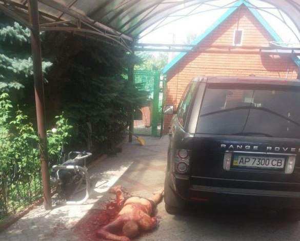 В Запорожье жестоко убили криминального авторитета — кадры с камер видеонаблюдения (ФОТО, ВИДЕО 18+) | Русская весна