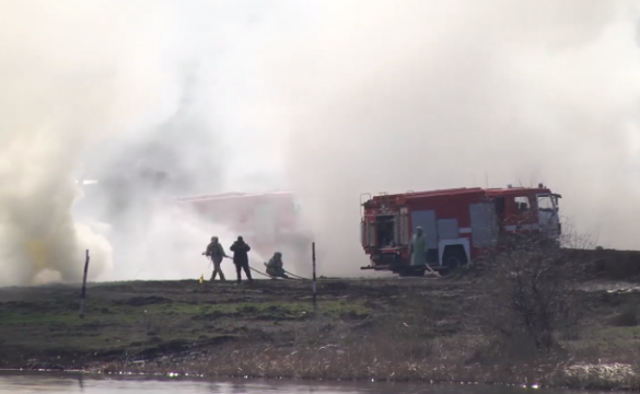 ВСУ провели учения против коронавируса (ФОТО, ВИДЕО) | Русская весна