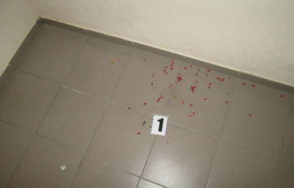 Типичная Украина: в Ужгороде в квартиру депутата бросили гранату (ФОТО) | Русская весна