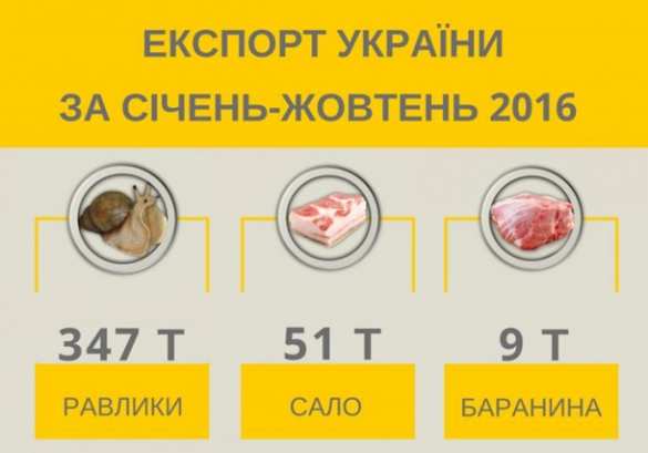 Неожиданно: Украина экспортировала улиток всемеро больше, чем сала (ИНФОГРАФИКА) | Русская весна