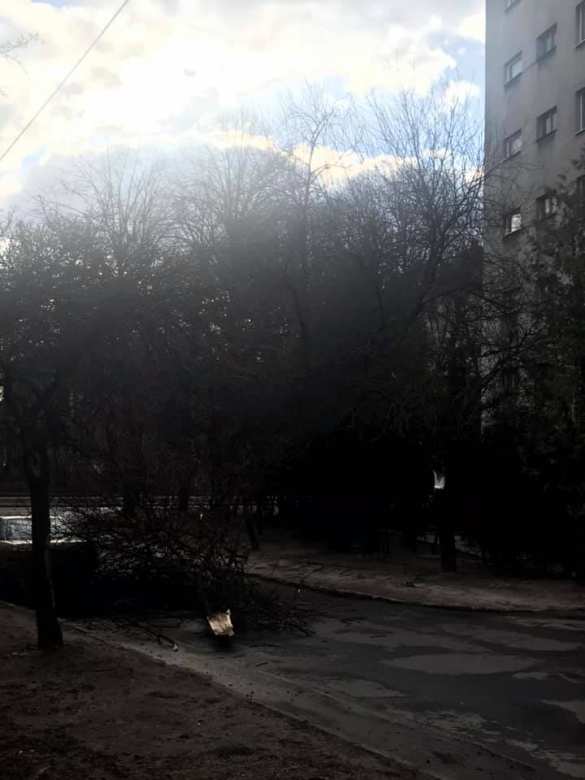 Львов под ударом стихии: по Украине идёт ураган (ФОТО, ВИДЕО) | Русская весна