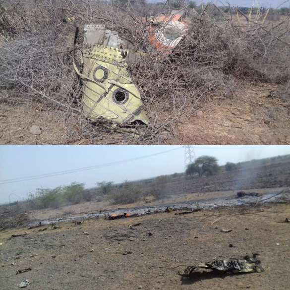 Истребитель рухнул на стадо коров (ФОТО) | Русская весна