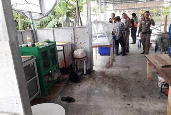 Посетителей вегетарианского ресторана накормили человечиной (ФОТО) | Русская весна