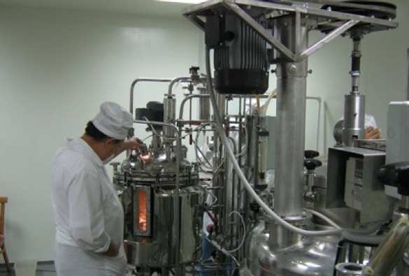 В крымском аквареакторе вырастят микроводоросли для космоса | Русская весна