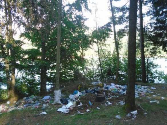 Уникальное водохранилище в Закарпатье превратили в свалку (ФОТО) | Русская весна