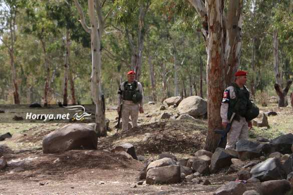Добрым словом и автоматом: «Вежливые люди» пришли к боевикам и убедили их сдаться (ФОТО) | Русская весна