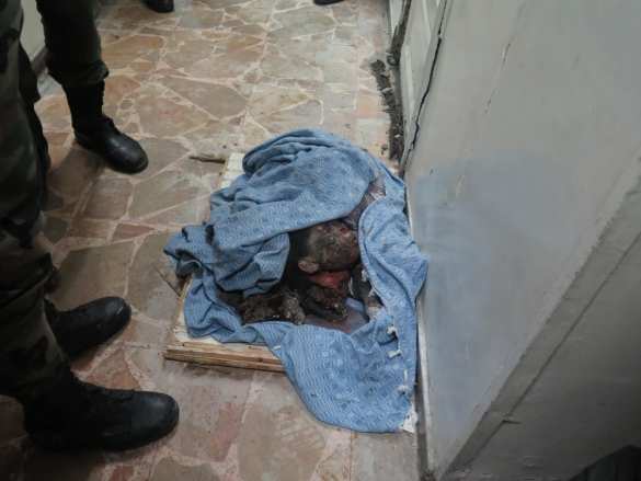 Шокирующие кадры: 7-летняя смертница взорвалась в Дамаске — эксклюзив «Русской Весны» (ФОТО, ВИДЕО 18+) | Русская весна