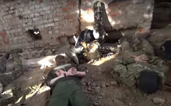 Спецоперация под Могилёвом: нейтрализованы «лесные партизаны» с украинской символикой (+ФОТО, ВИДЕО) | Русская весна