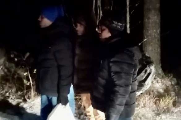 Мошенник построил «границу» в выборгском лесу и за деньги переправлял через неё нелегалов (ФОТО, ВИДЕО) | Русская весна