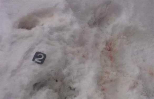 На Закарпатье экстремисты «Правого сектора» устроили массовую драку и перестрелку (+ФОТО) | Русская весна