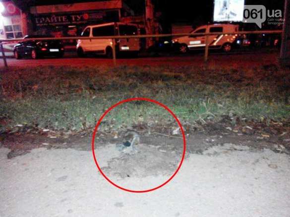 Будни Украинского Государства: В Запорожье из гранатомета обстреляли шашлычную (+ВИДЕО, ФОТО) | Русская весна