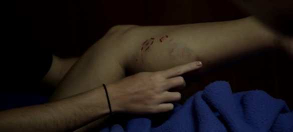 Биолог рассказала, как сумела спастись из пасти крокодила (ФОТО) | Русская весна