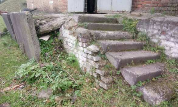 На Украине на территории военной базы выпасают скот (ФОТОФАКТ) | Русская весна