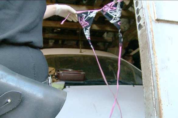 В Жмеринке полиция поймала педофила «на горячем» (ФОТО, ВИДЕО) | Русская весна