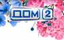 Нападение на участников «Дома-2» засняли камеры наблюдения (ВИДЕО+ФОТО) | Русская весна