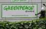 Власти Индии запретили Greenpeace работать в стране | Русская весна
